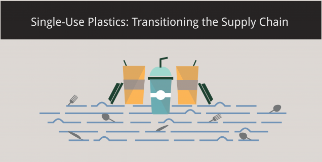 Single-Use Plastics Graphic